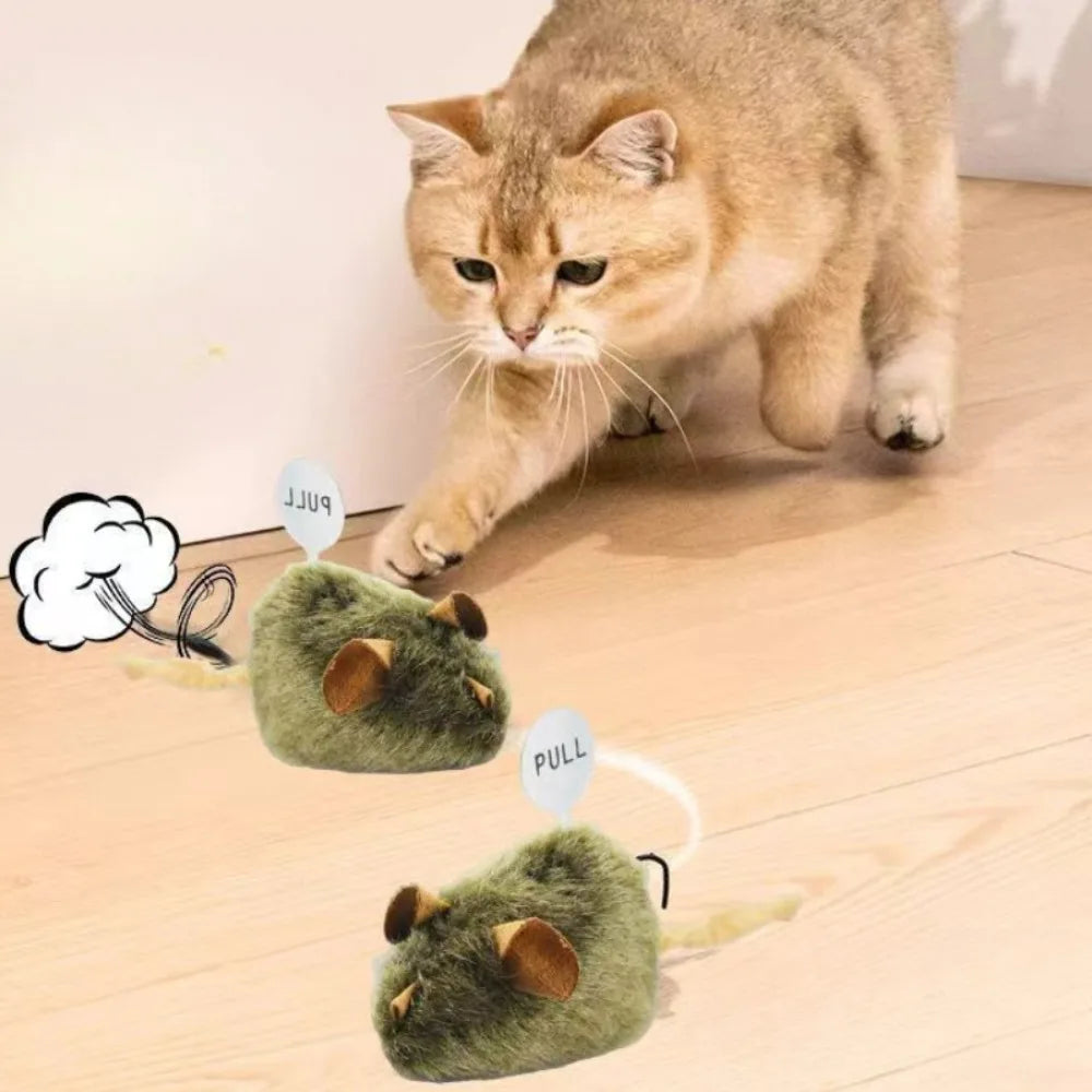 Chirping Cat Toy