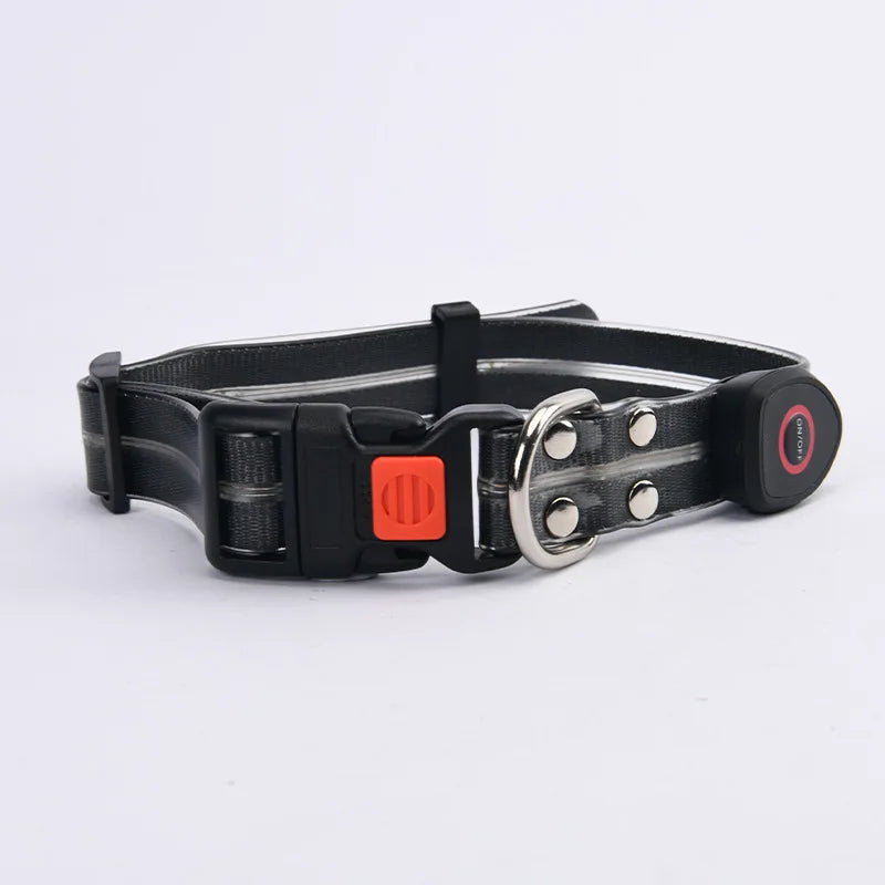 LED light-up collar leash