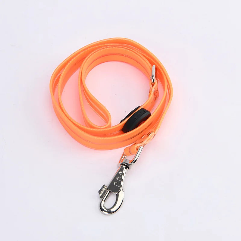 LED light-up collar leash
