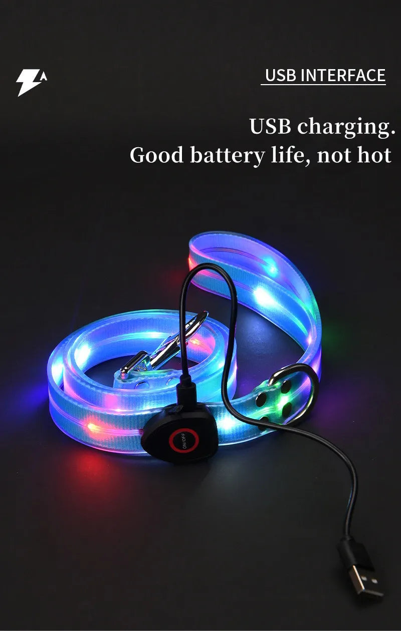 LED light-up collar leash