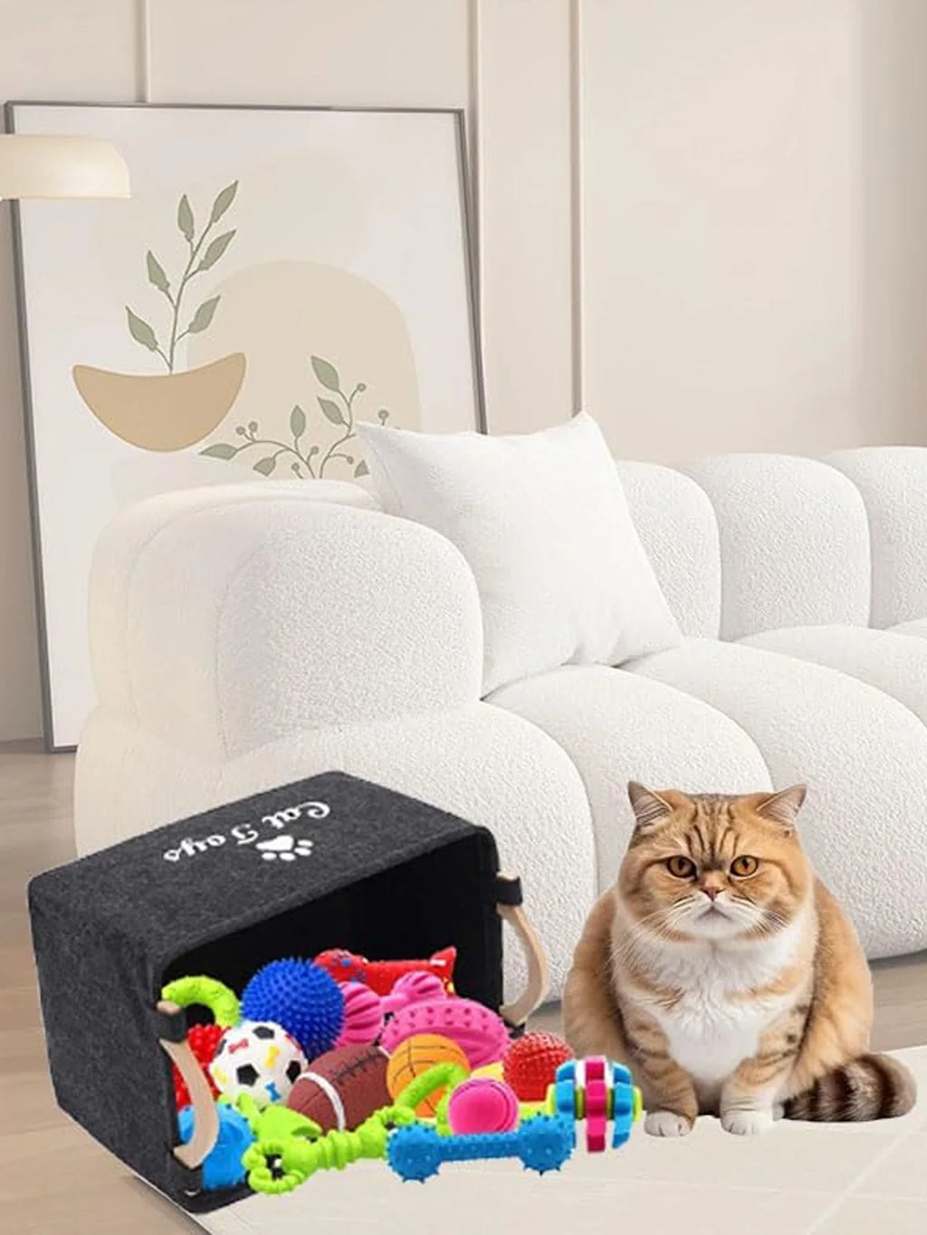 Pet Toy Storage Box