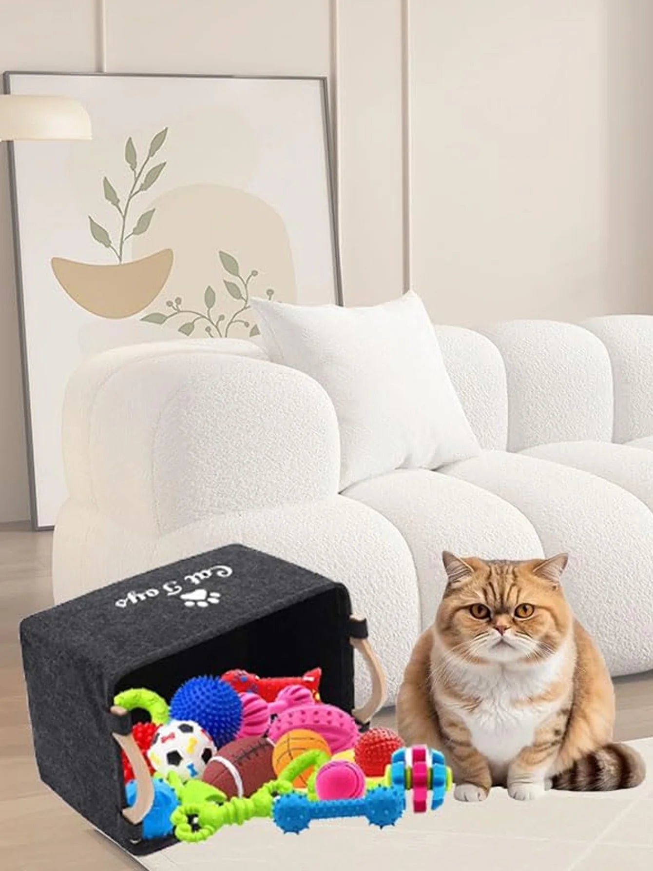 Pet Toy Storage Box
