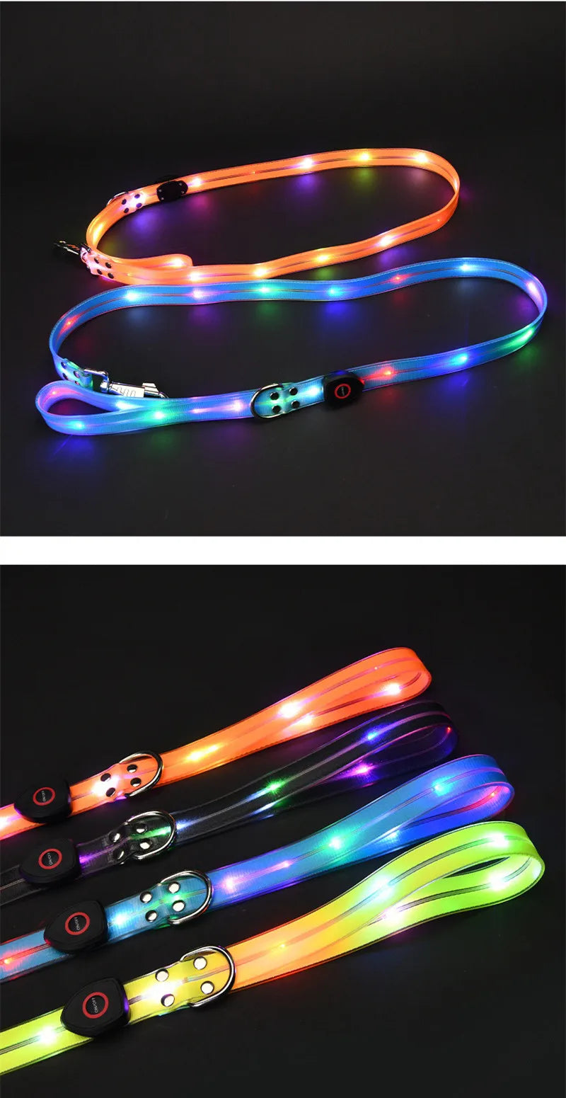 LED light-up collar leash