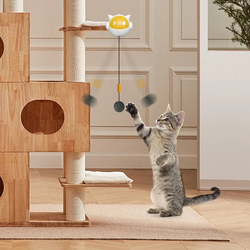 Automatic Lifting Cat Toy