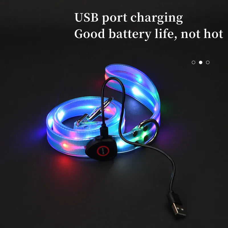 LED light-up collar leash