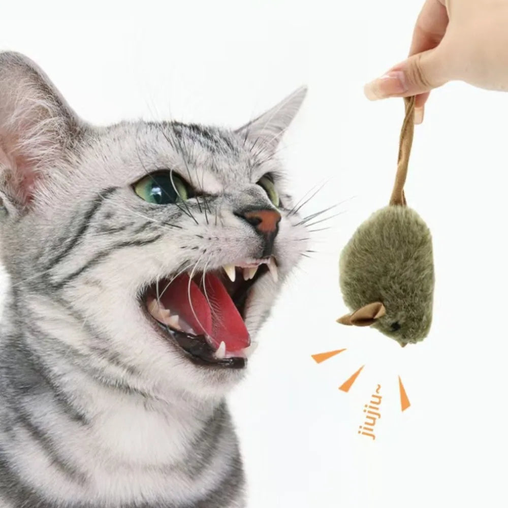 Chirping Cat Toy