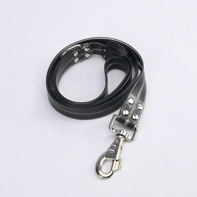 LED light-up collar leash