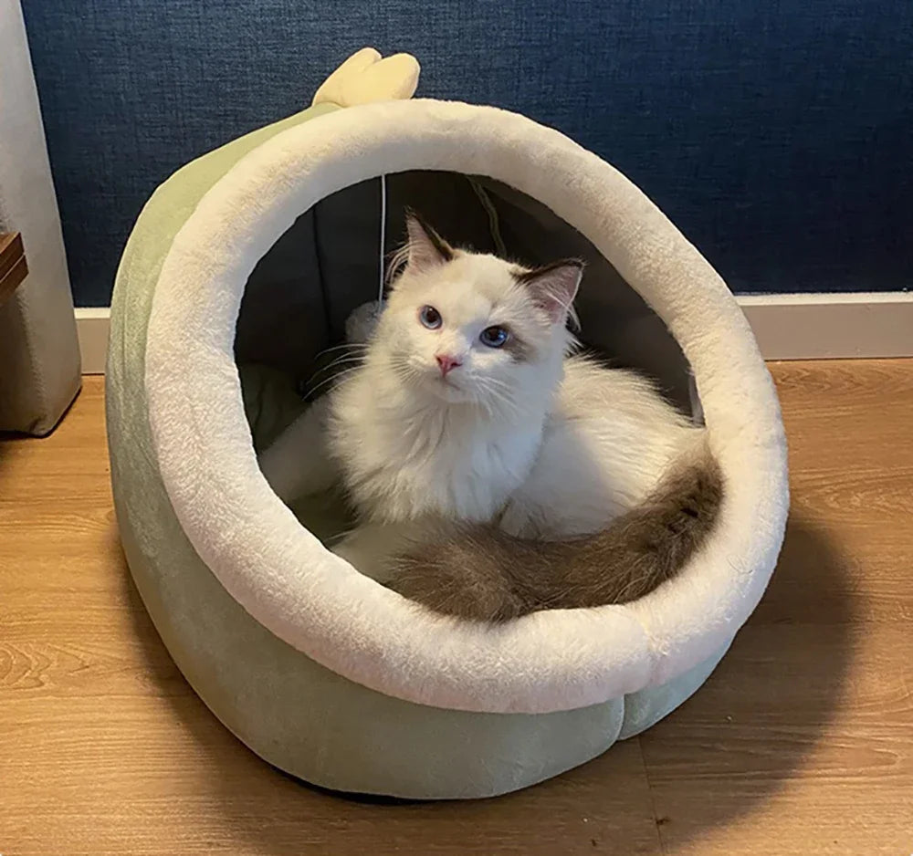 Foldable Cat Bed Pet Bed