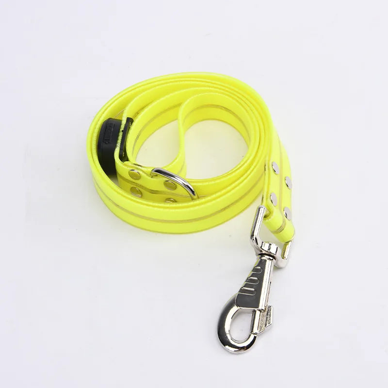 LED light-up collar leash