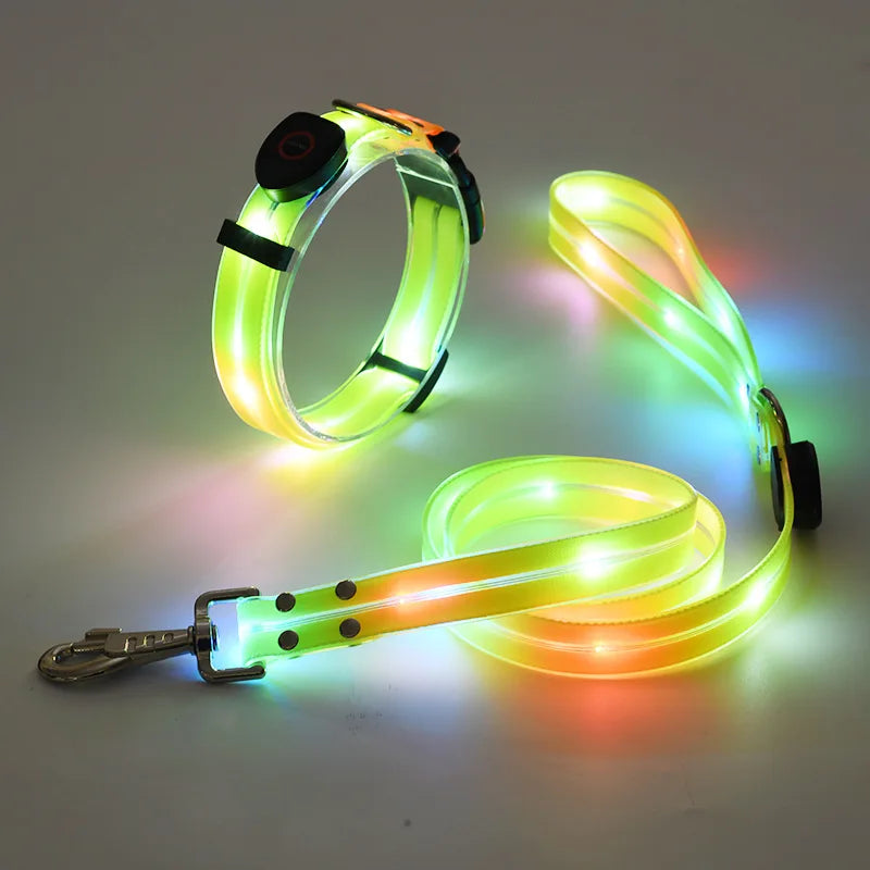 LED light-up collar leash