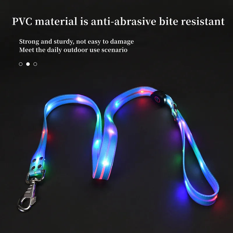 LED light-up collar leash