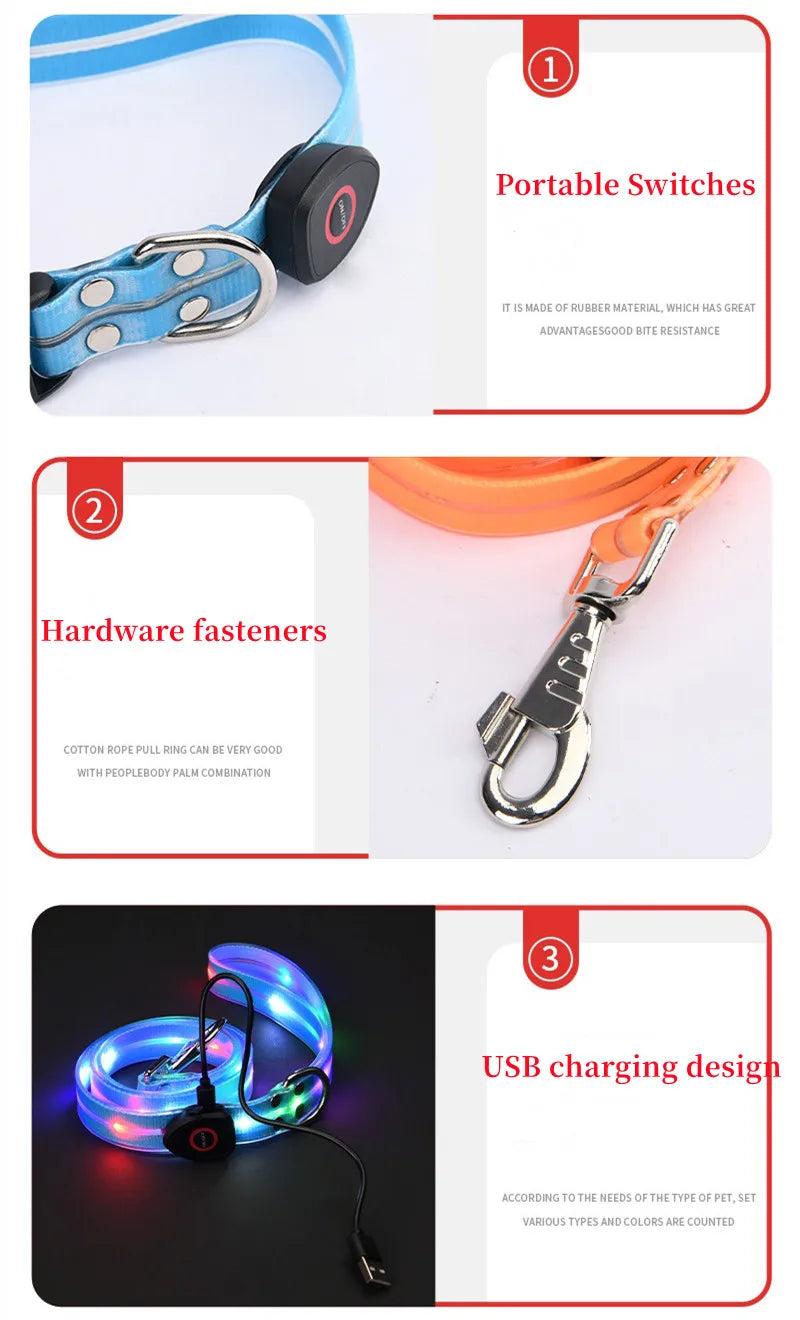 LED light-up collar leash
