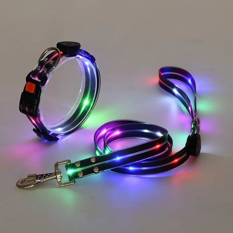LED light-up collar leash