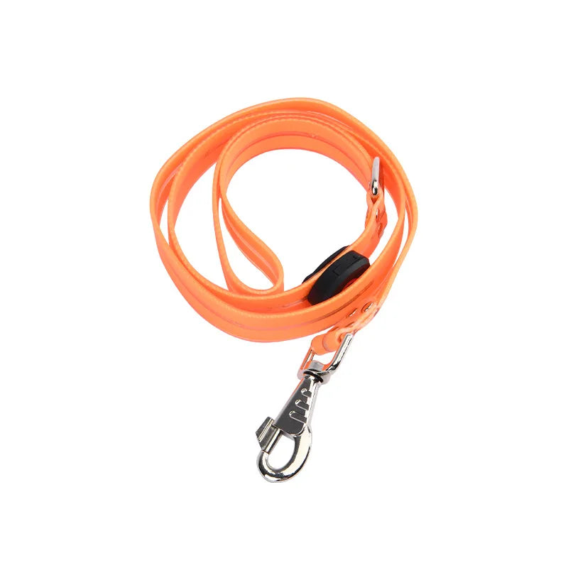 LED light-up collar leash