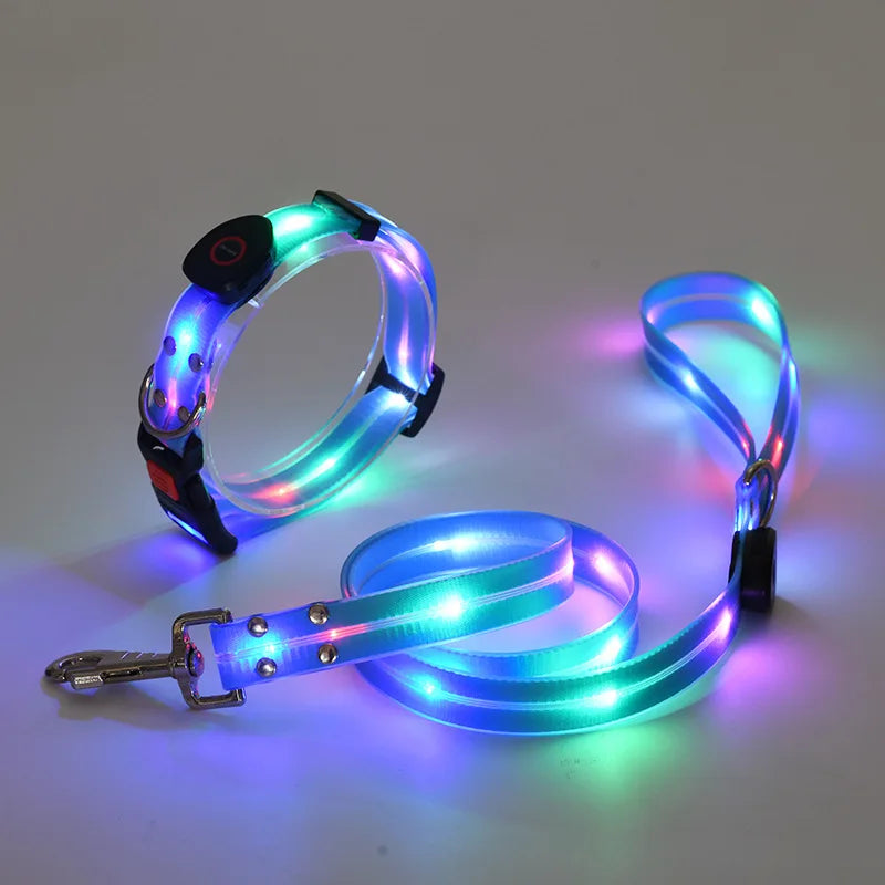 LED light-up collar leash