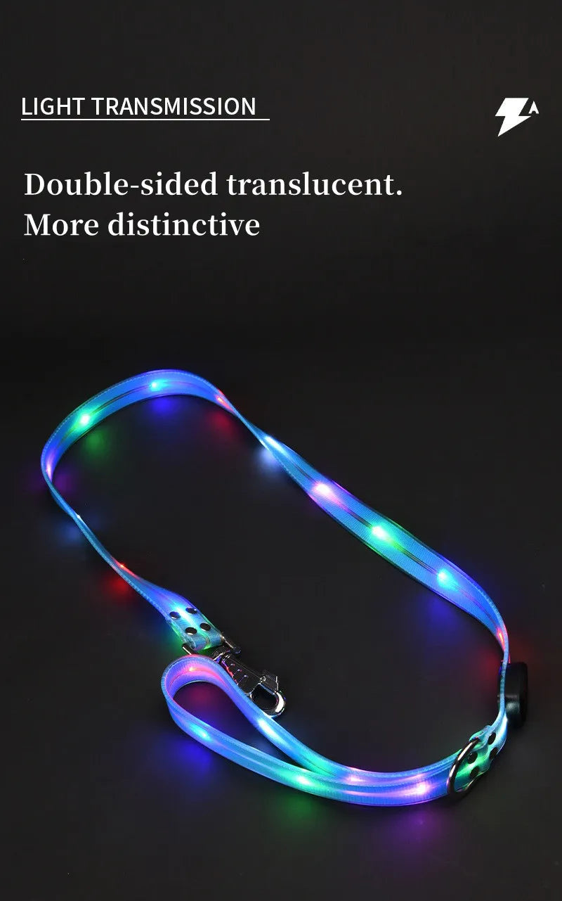 LED light-up collar leash