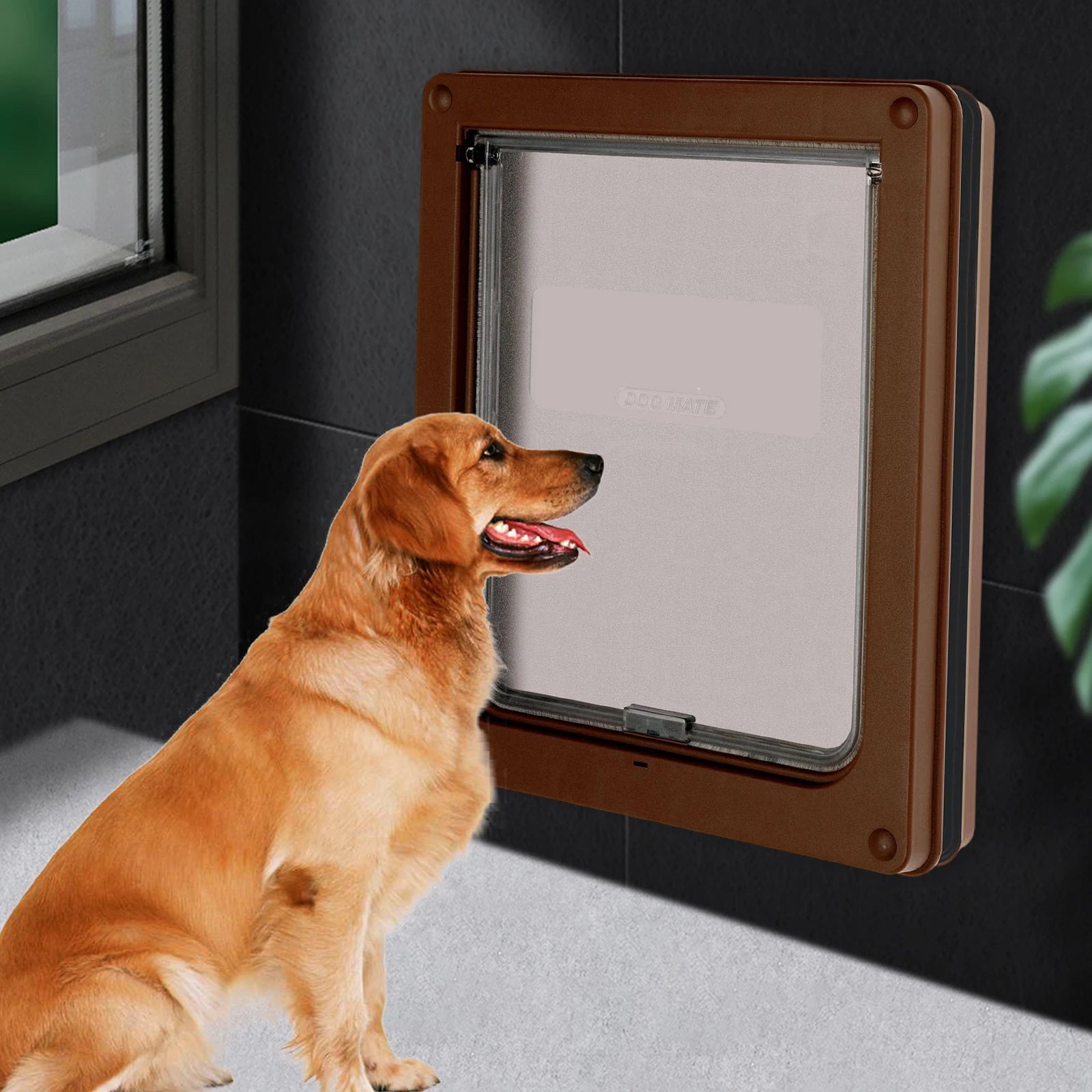 Dog & Cat Flap Door