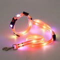 LED light-up collar leash