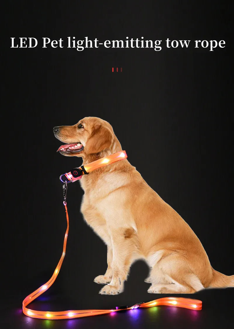 LED light-up collar leash