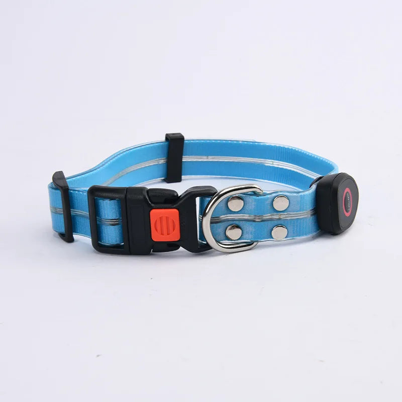 LED light-up collar leash