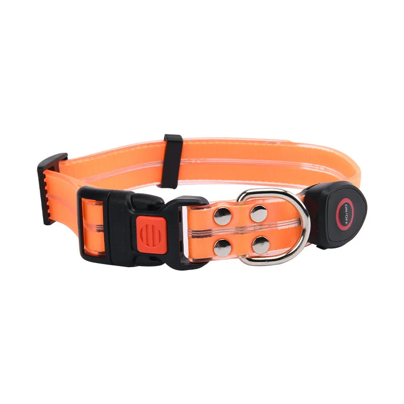 LED light-up collar leash