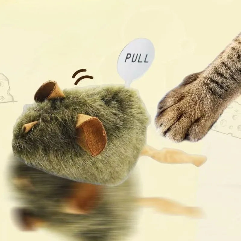 Chirping Cat Toy