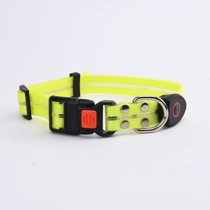 LED light-up collar leash
