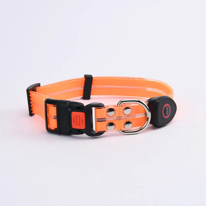 LED light-up collar leash
