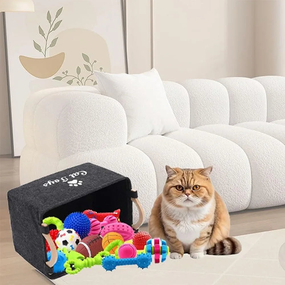 Pet Toy Storage Box
