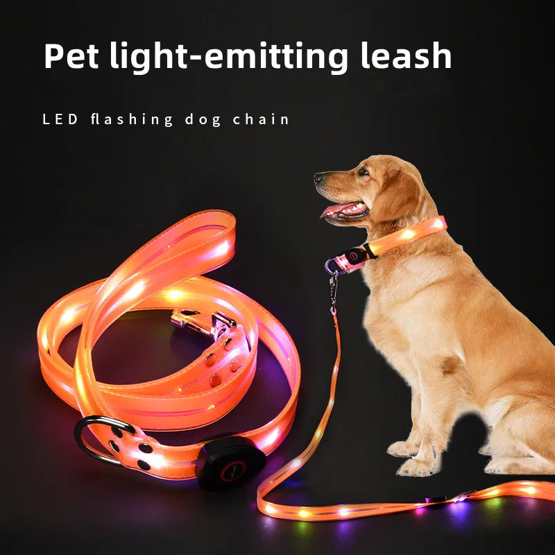 LED light-up collar leash
