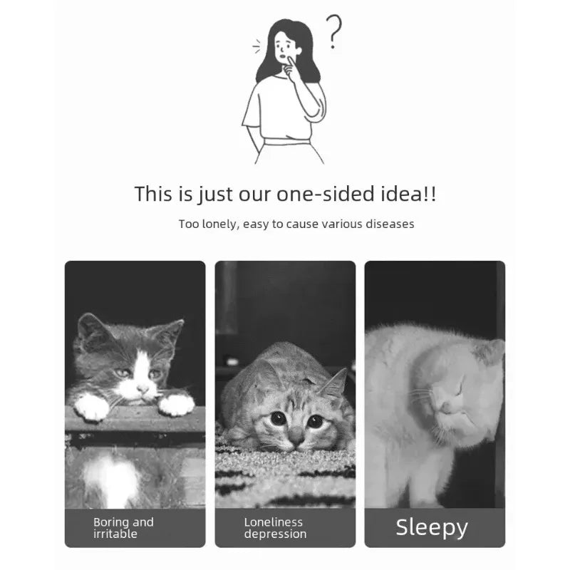USB Charging Laser Cat Toy