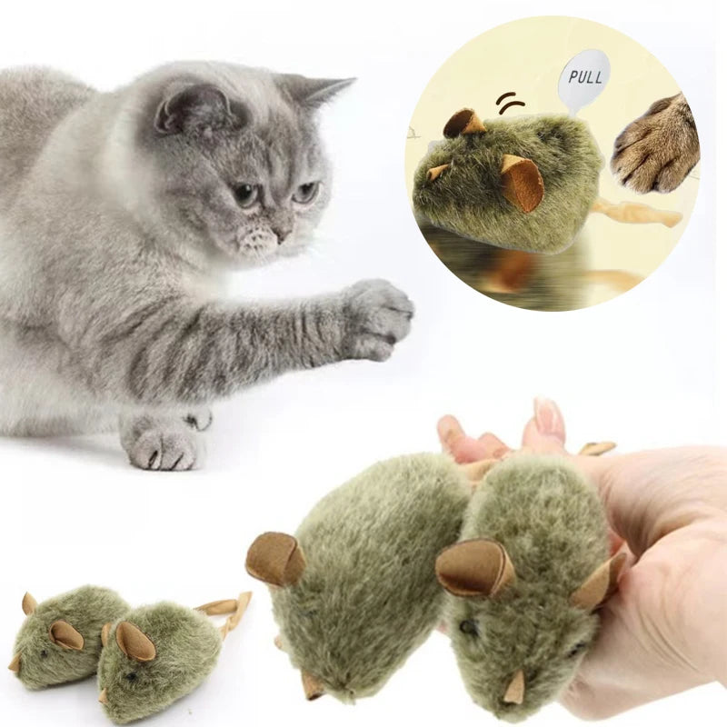 Chirping Cat Toy