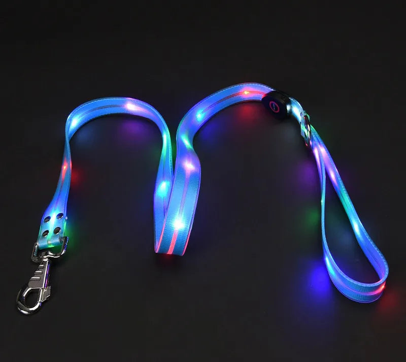 LED light-up collar leash