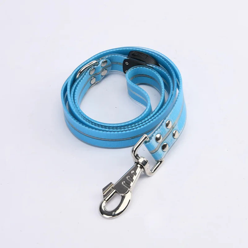 LED light-up collar leash